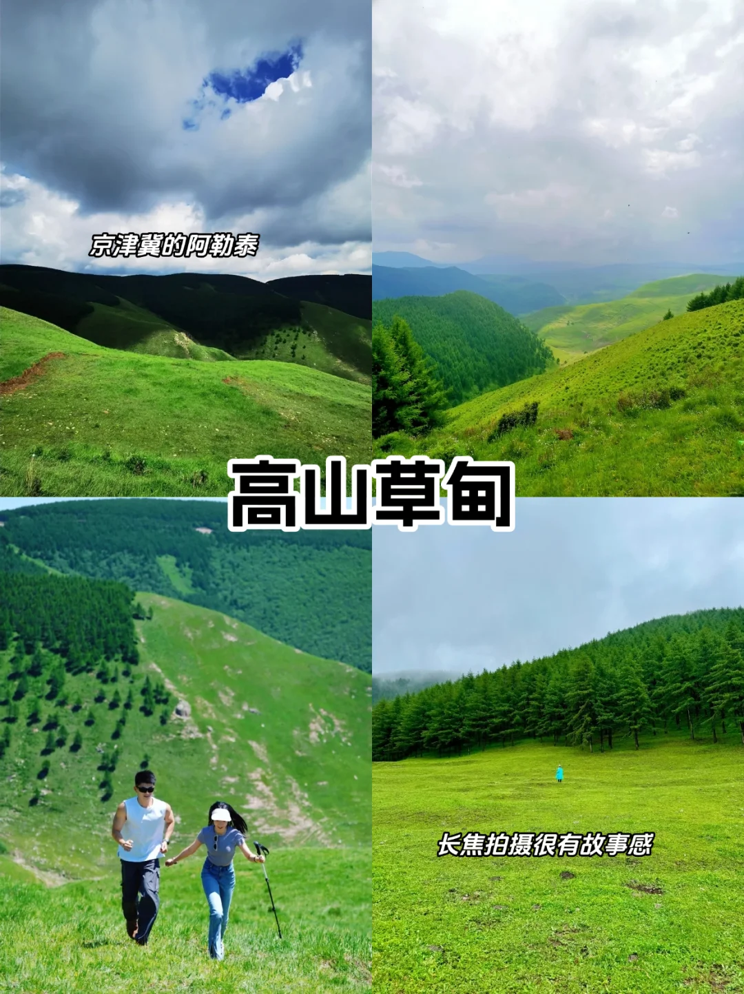 京郊25℃夏天🌿闯入“北方小瑞士”麻田岭