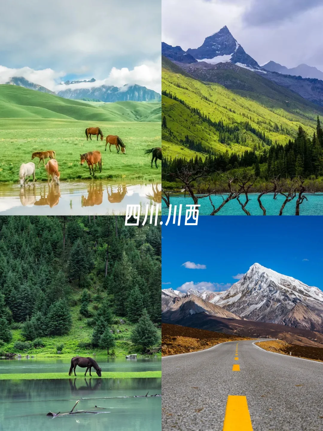 暑假遛娃|8-9月亲子游，10个避暑好去处❗