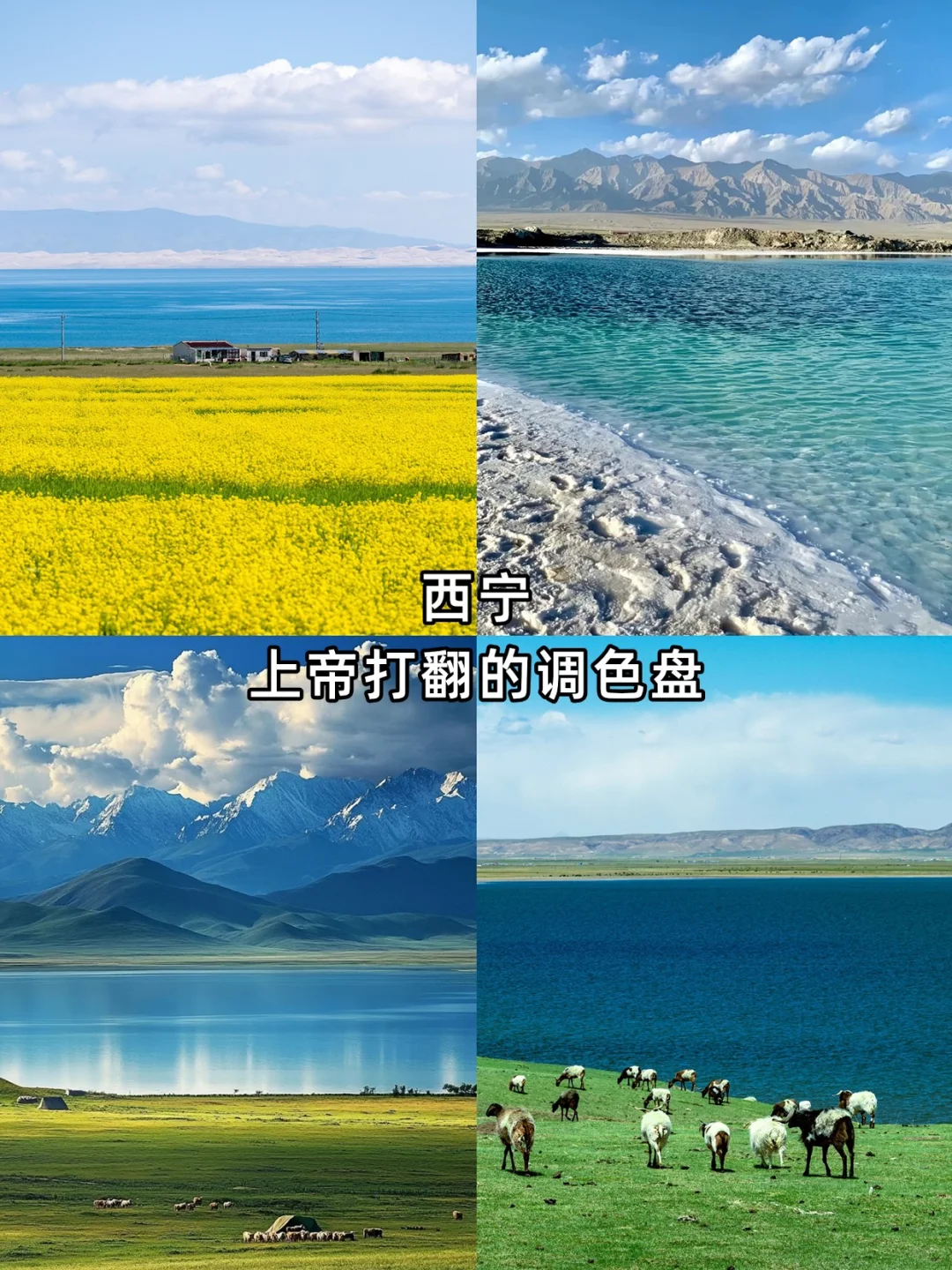 逃离火炉🔥 避暑冲冲冲！