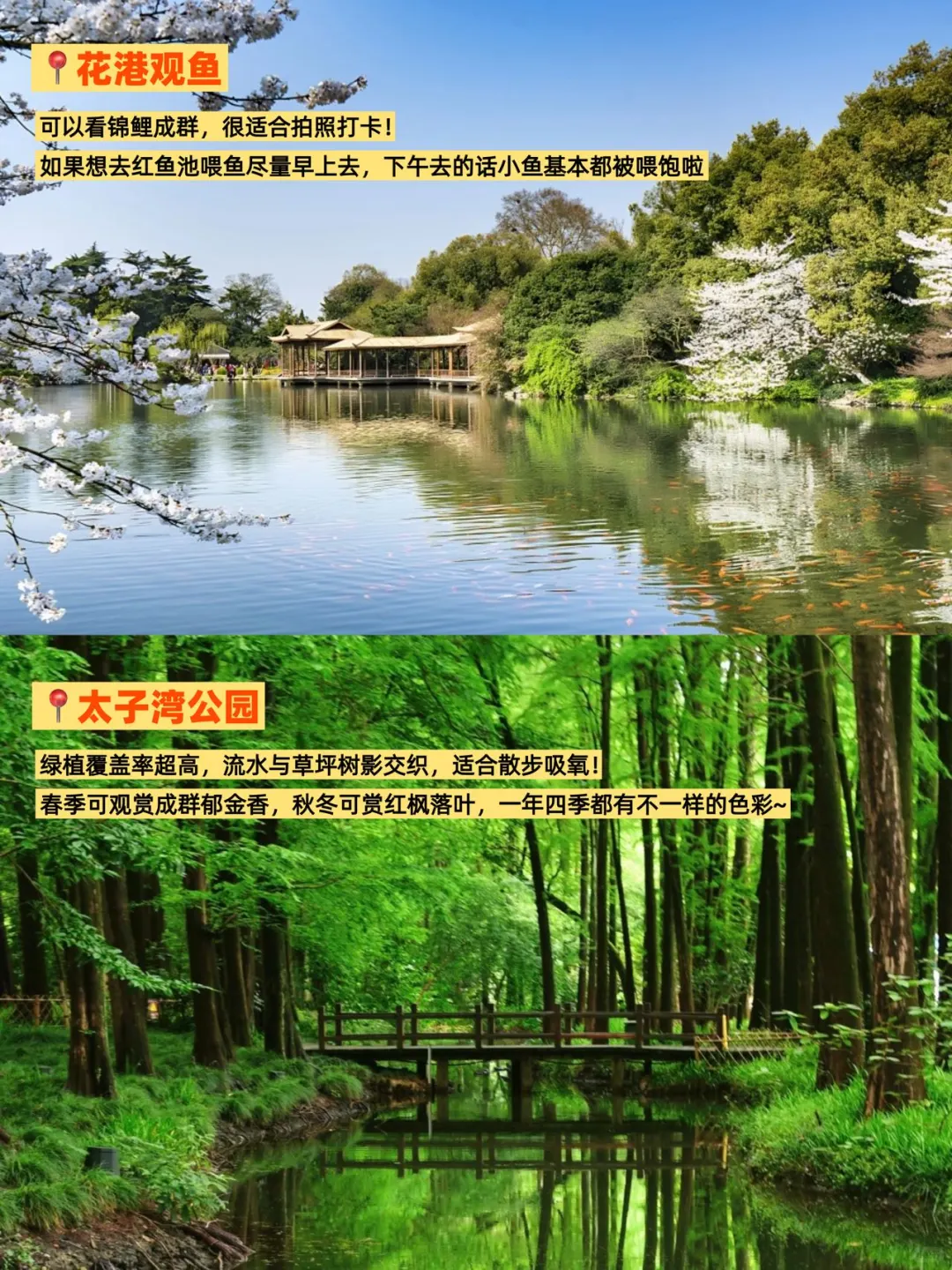 西湖一日游全打卡✌️本地人都夸我太会玩