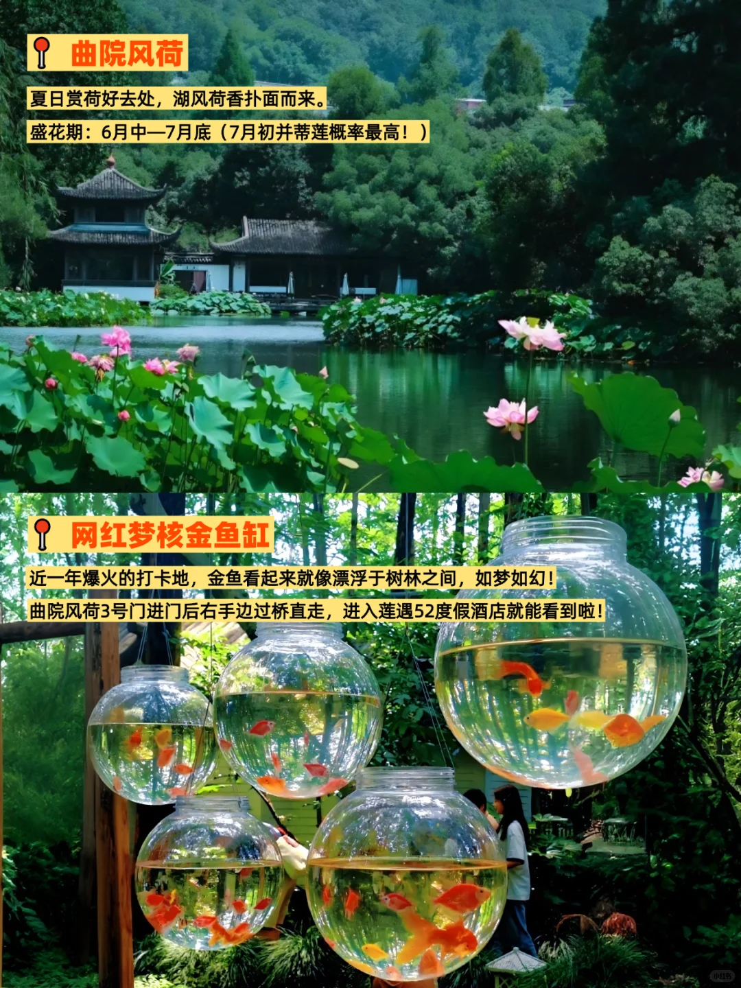 西湖一日游全打卡✌️本地人都夸我太会玩