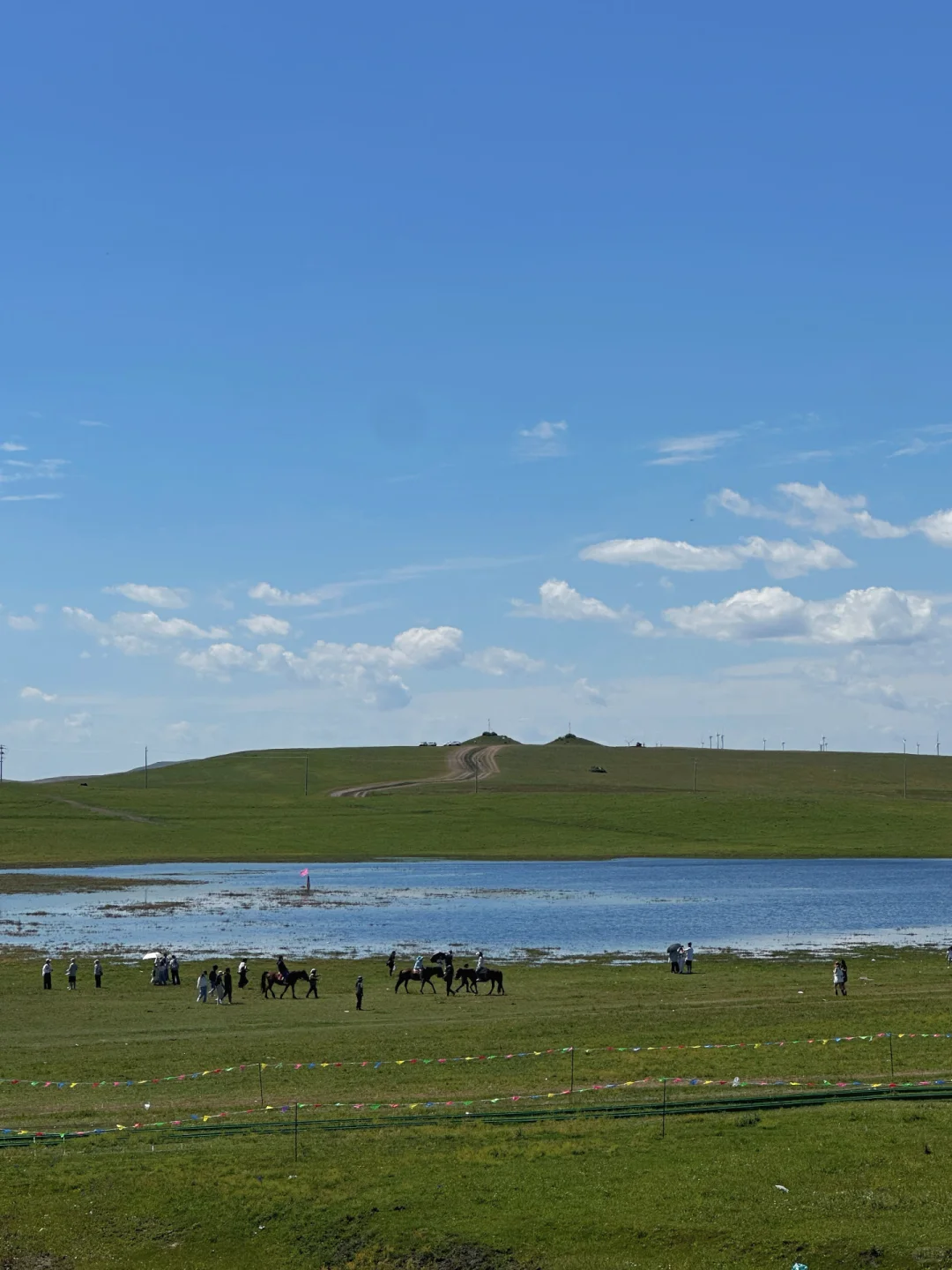 8.5实况，辉腾锡勒草原这样玩，不后悔❗️