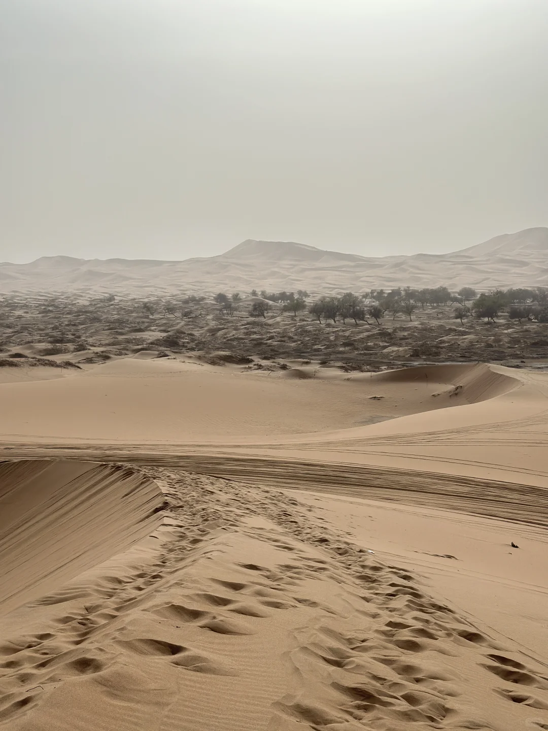 阿拉善|在沙漠深处听见了地球跳动的声音‼️