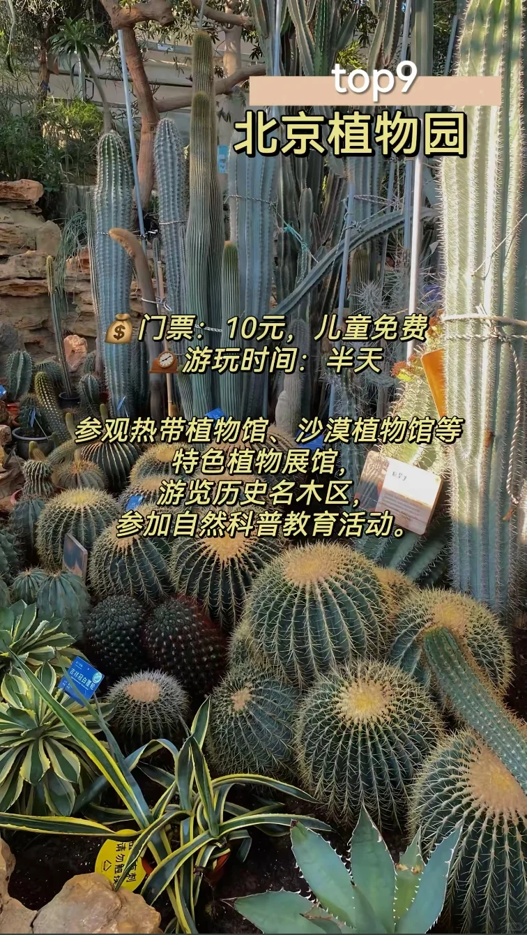 北京亲子游必去的10个景点推荐，赶紧收藏