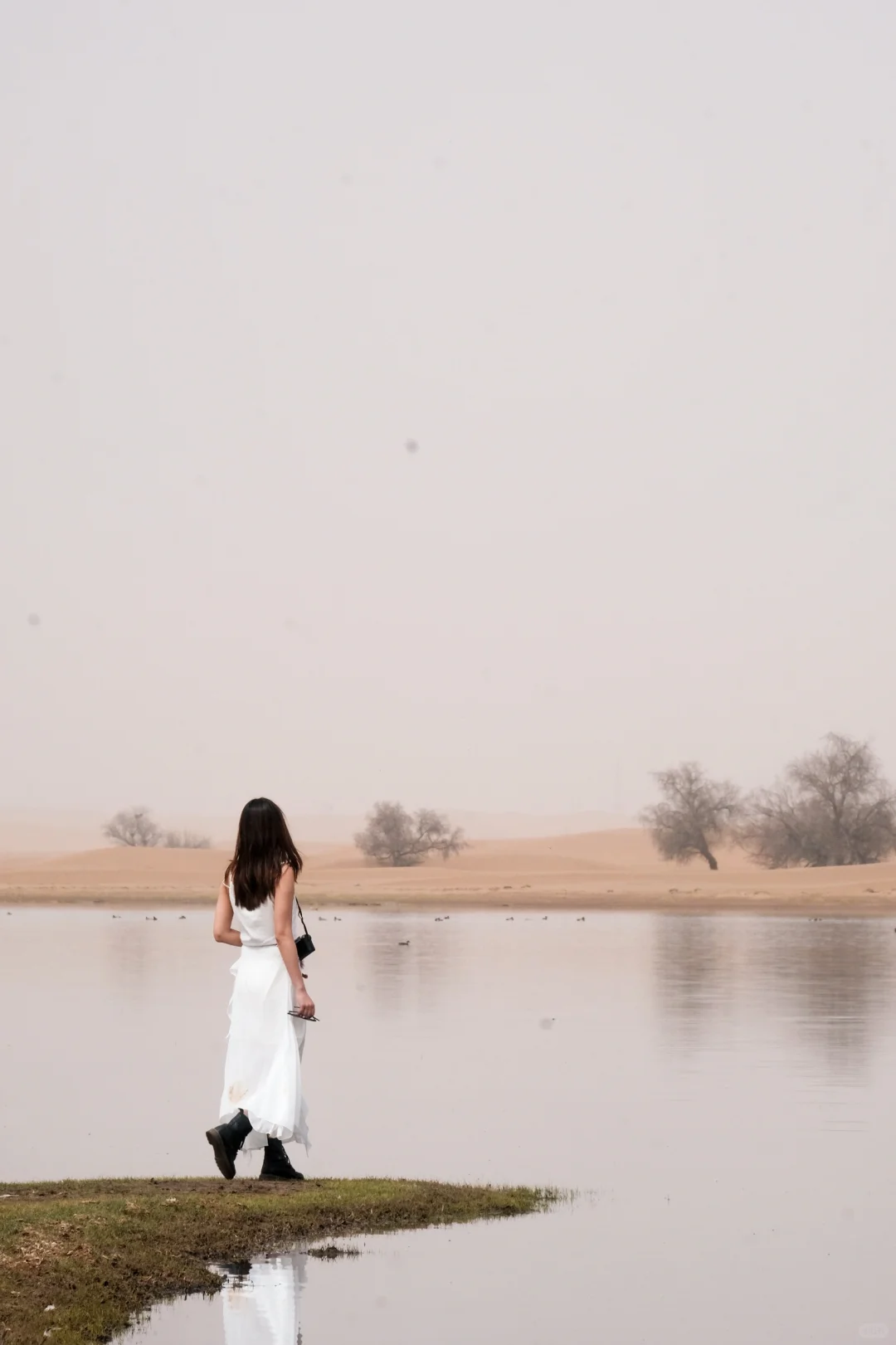 阿拉善|在沙漠深处听见了地球跳动的声音‼️