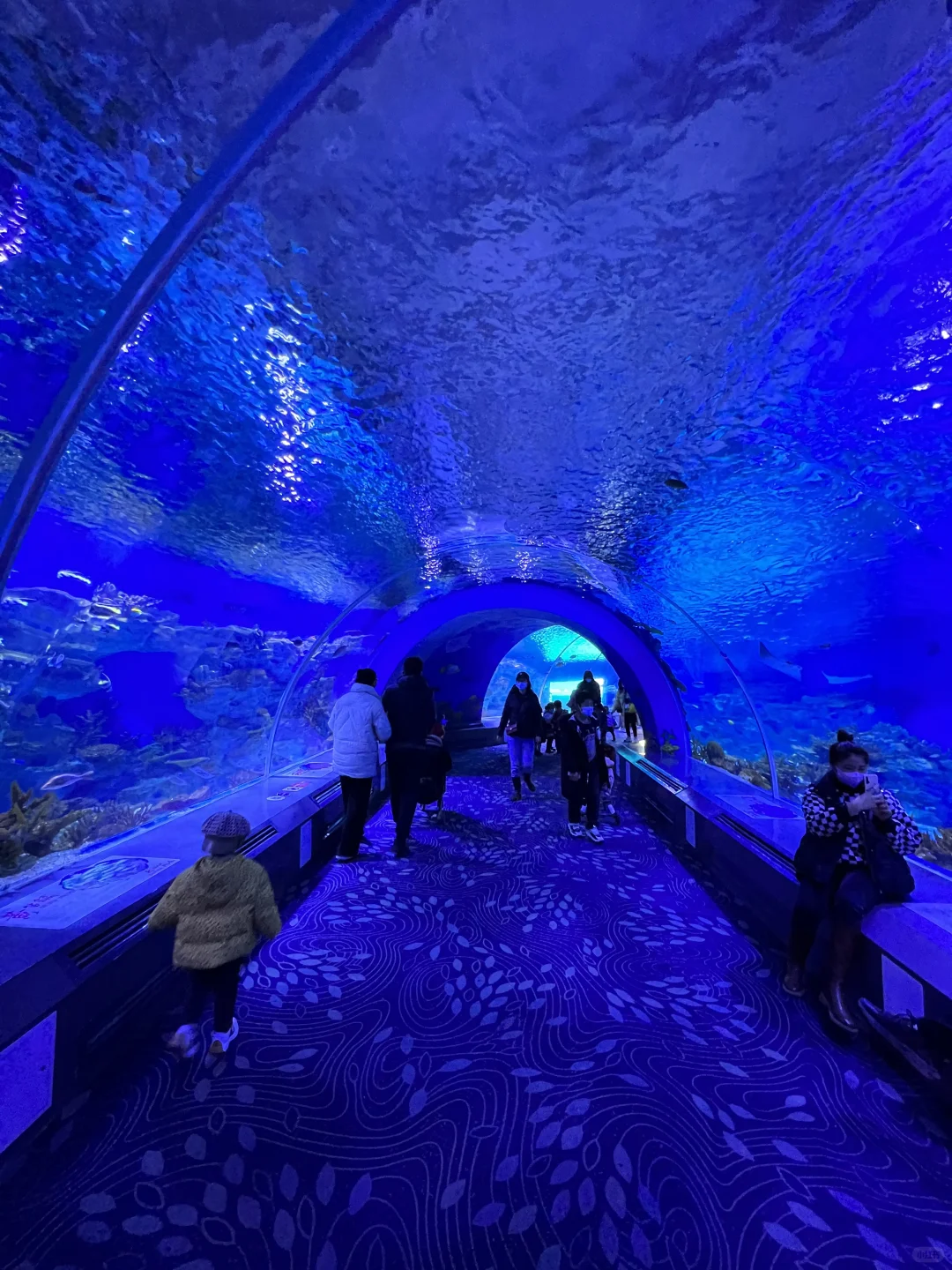 历届游客最想知道日照的8大话题