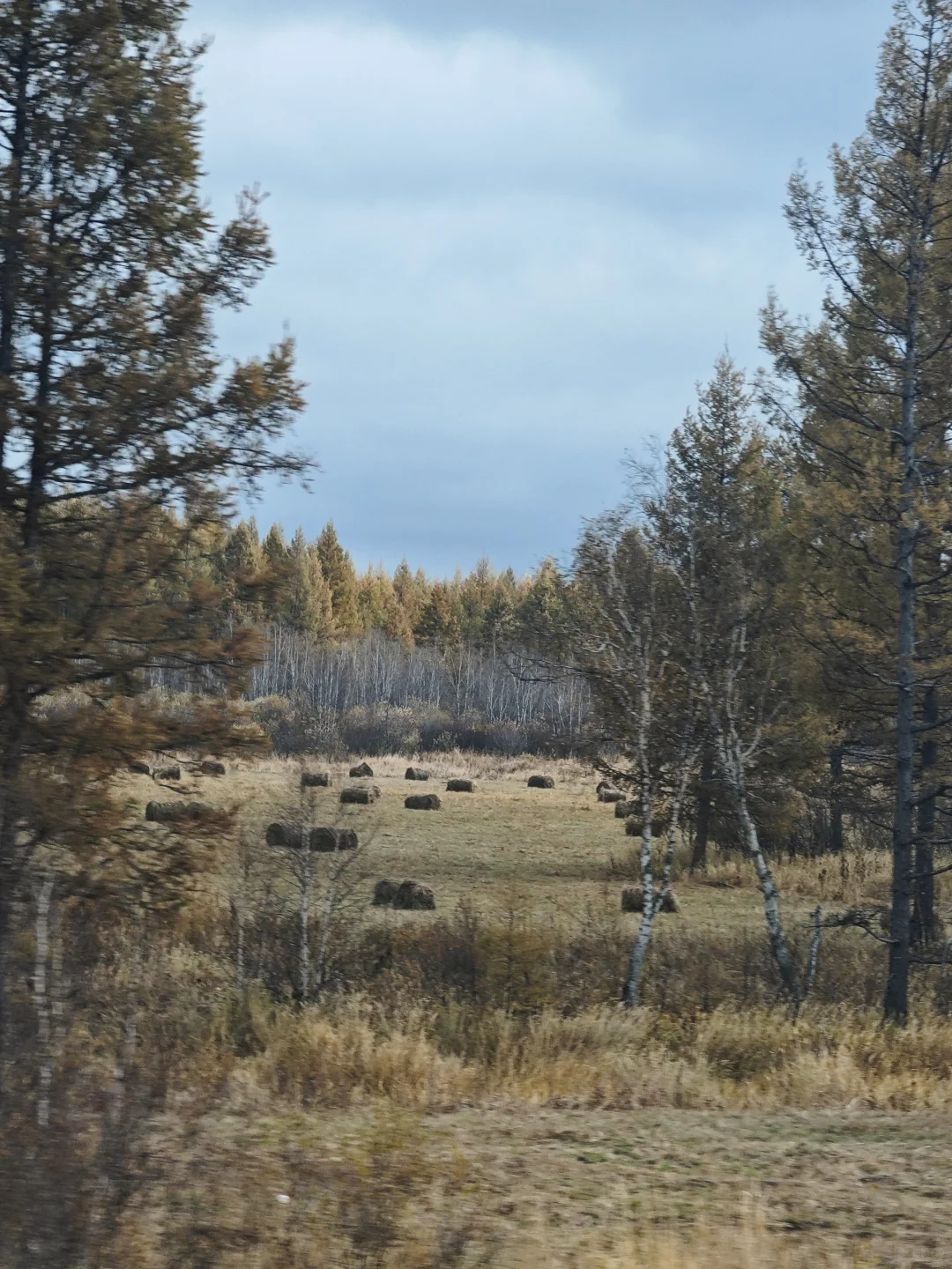 9.18-9.20的阿尔山秋色参考