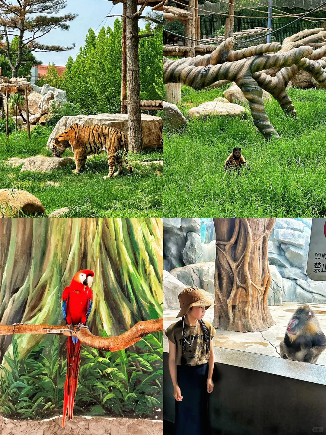 天津🚗3h达|3天2晚暑假玩透“山东迪士尼”|上