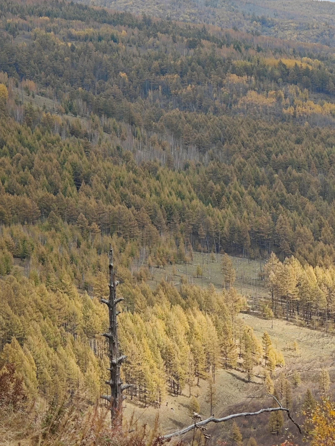 9.18-9.20的阿尔山秋色参考