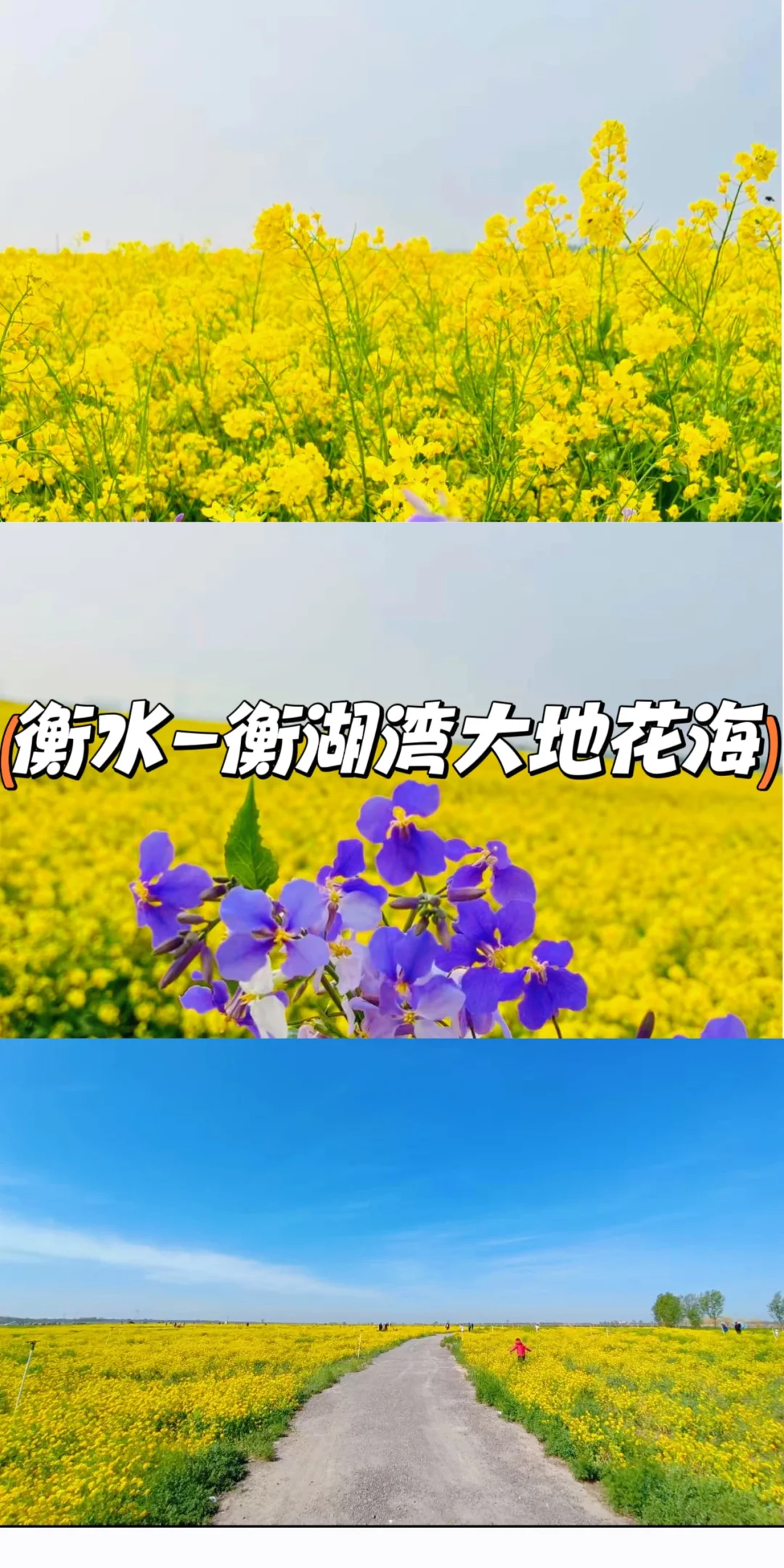 清明带娃这样玩！周边一日游5条路线遛娃指南