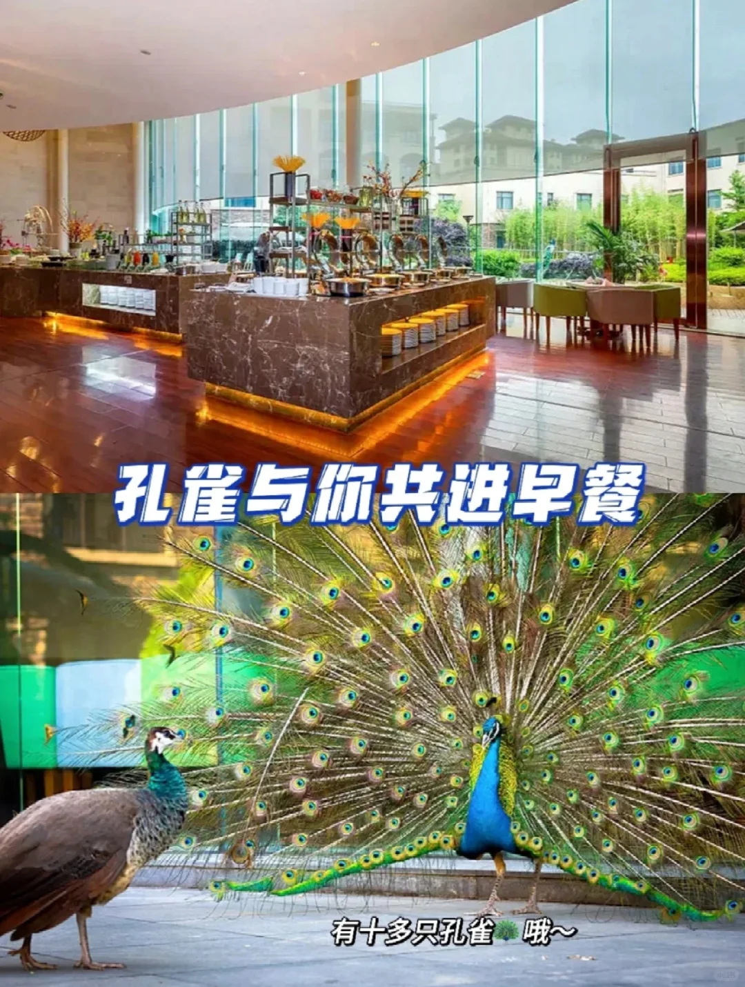 💦499玩转5钻酒店‼️溯溪漂流+冷泉泳池