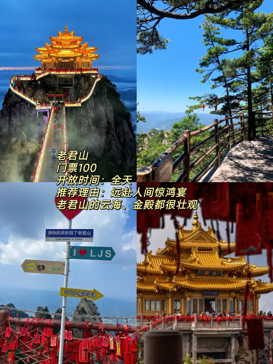 听说洛阳火了🔥这份必打卡攻略快马住🐴