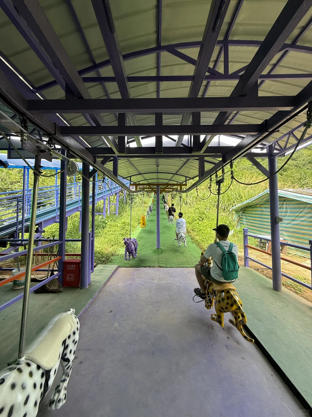 杭州出发1.5h!我发现个江浙沪宝藏山野乐园!