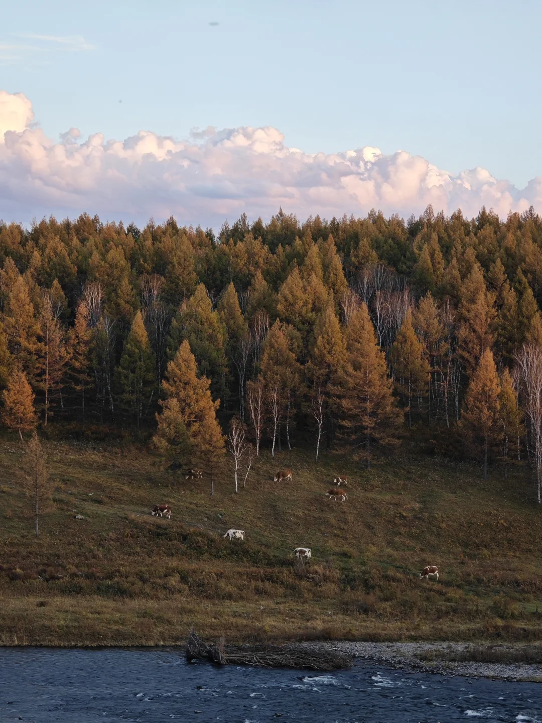 9.18-9.20的阿尔山秋色参考