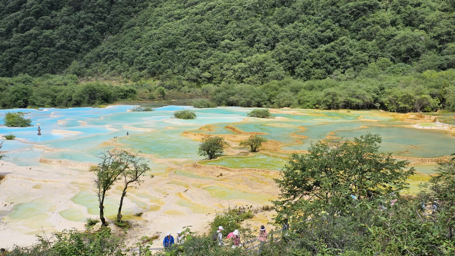 四川第一站,黄龙景区玩后感