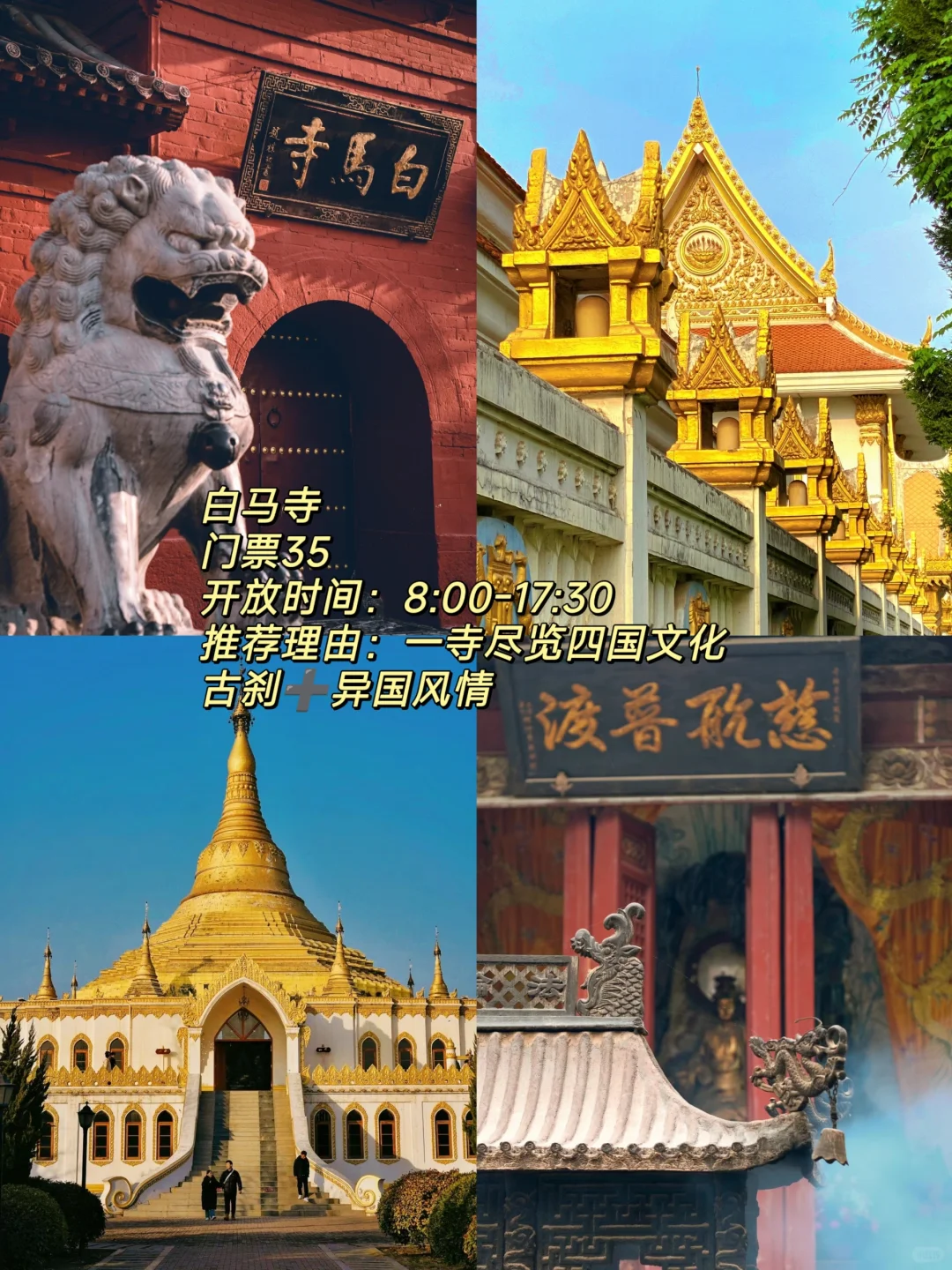 听说洛阳火了🔥这份必打卡攻略快马住🐴