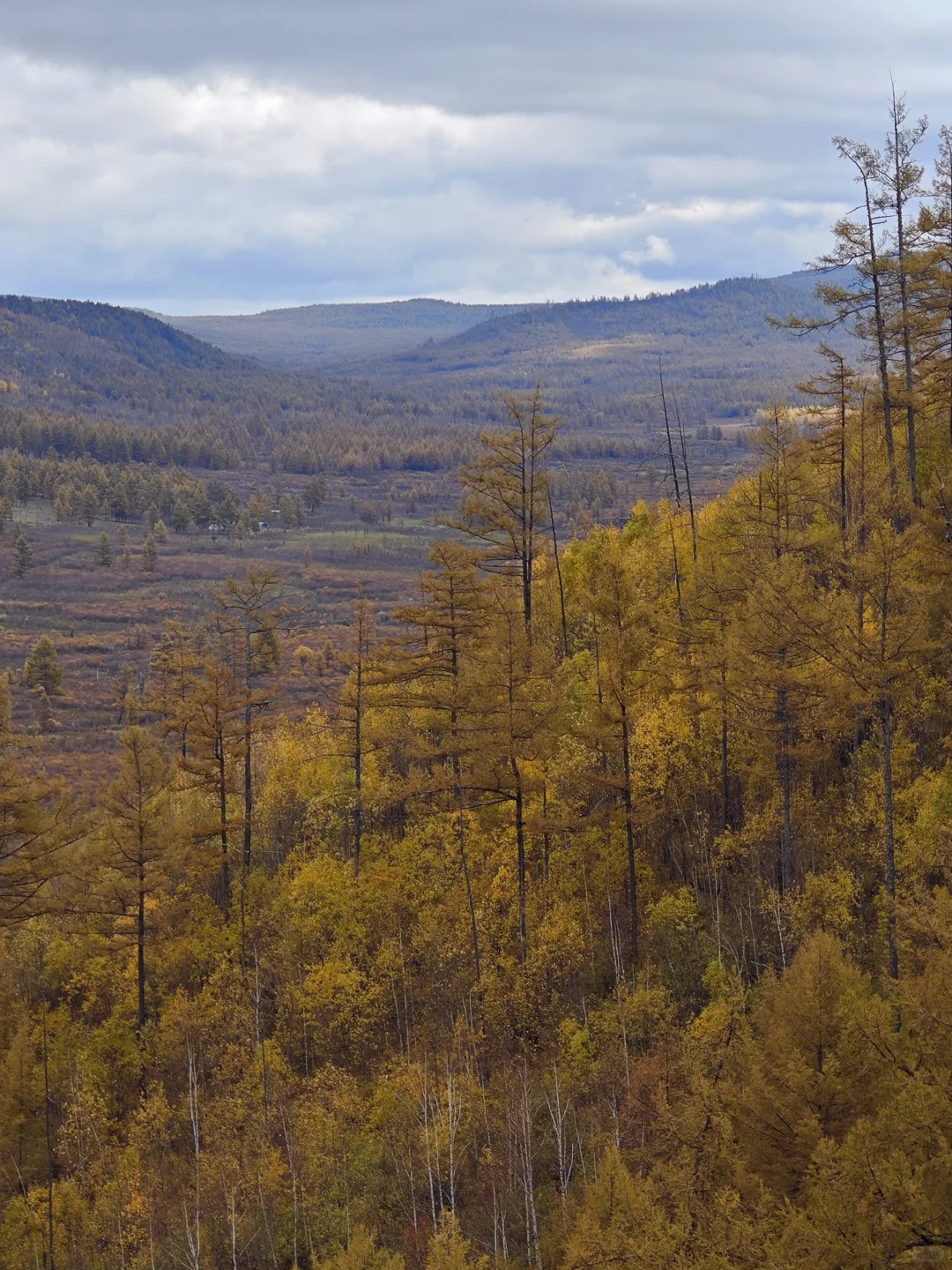 9.18-9.20的阿尔山秋色参考