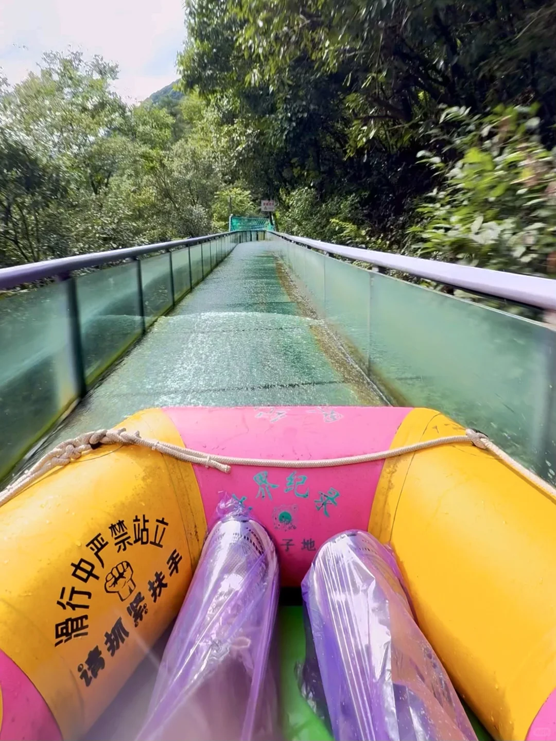 杭州出发1.5h!我发现个江浙沪宝藏山野乐园!