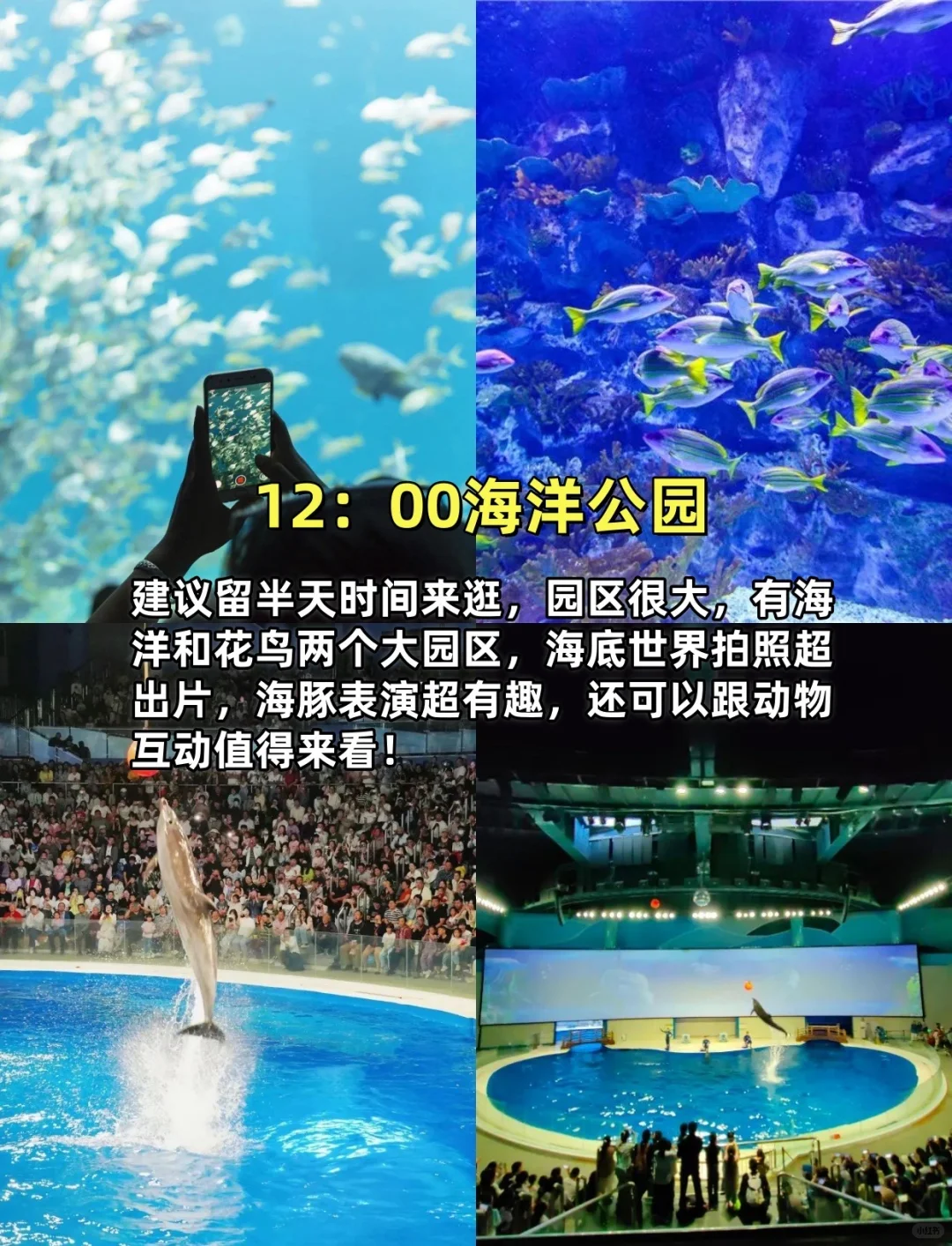 日照旅游特种兵版！一天逛完8个热门景区