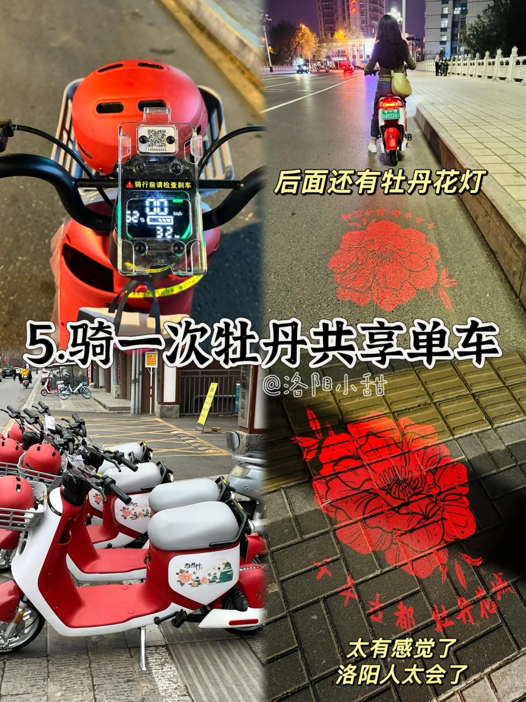 来洛阳必做的🔟件事…吃喝玩系列