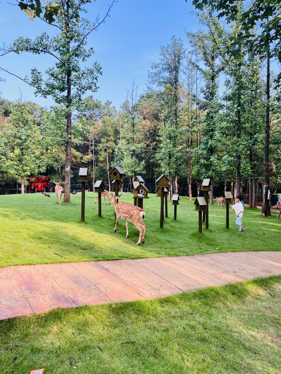 茅山亲子遛娃，说点真心话：玩不够根本玩不够