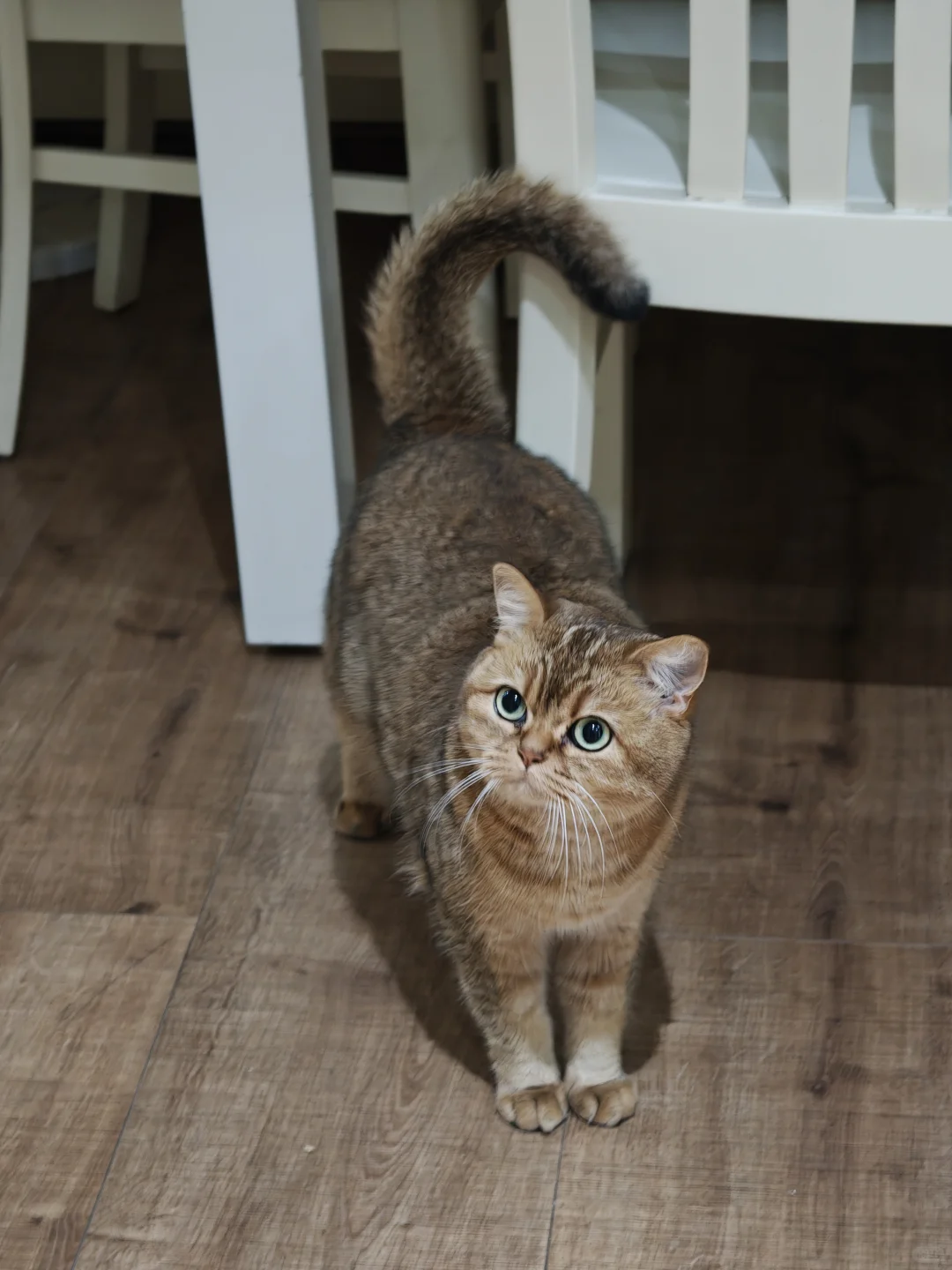 旅游中的记忆点，与大自然拥抱，享受生活！