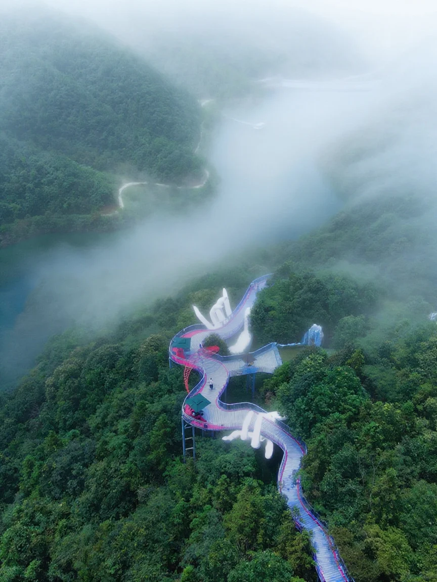 杭州出发1.5h!我发现个江浙沪宝藏山野乐园!