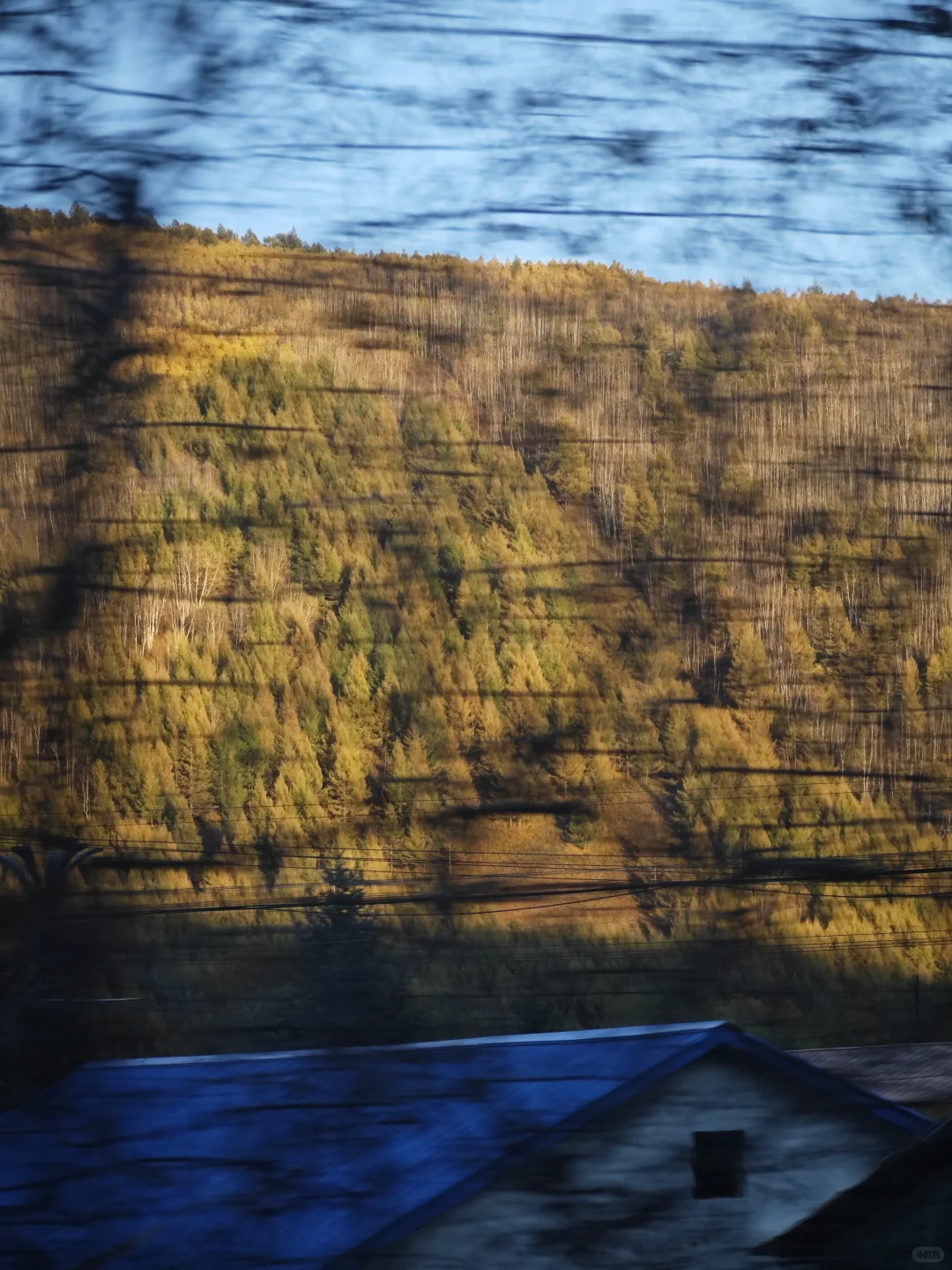 9.18-9.20的阿尔山秋色参考