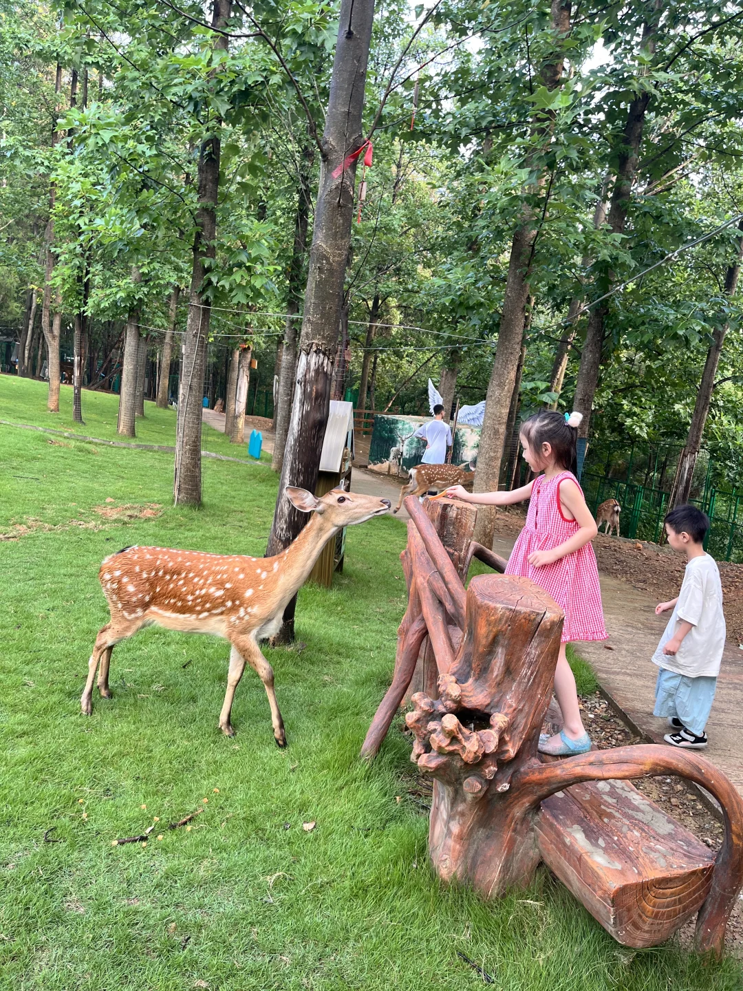 茅山亲子遛娃，说点真心话：玩不够根本玩不够