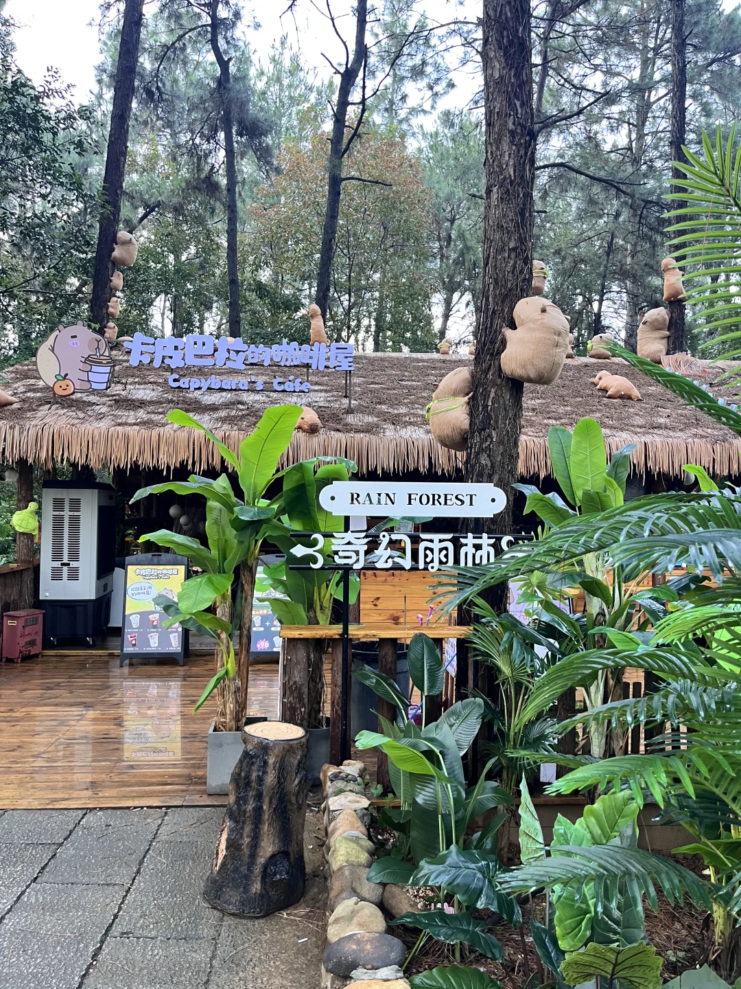 茅山亲子遛娃，说点真心话：玩不够根本玩不够