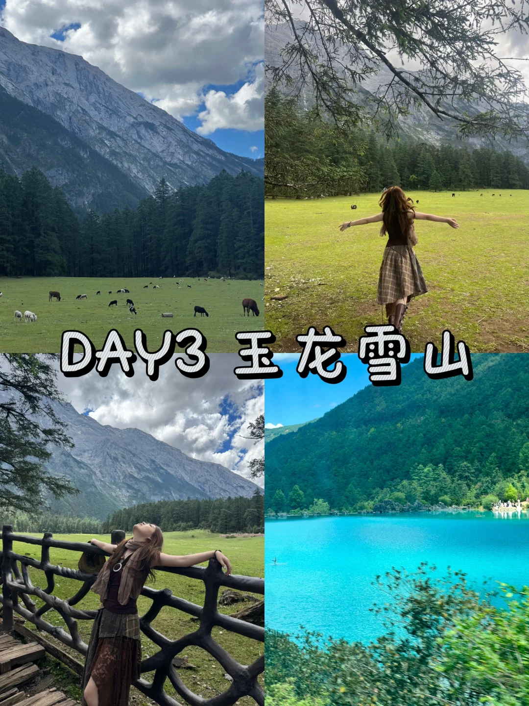 大学生云南6天6夜攻略分享📝❕