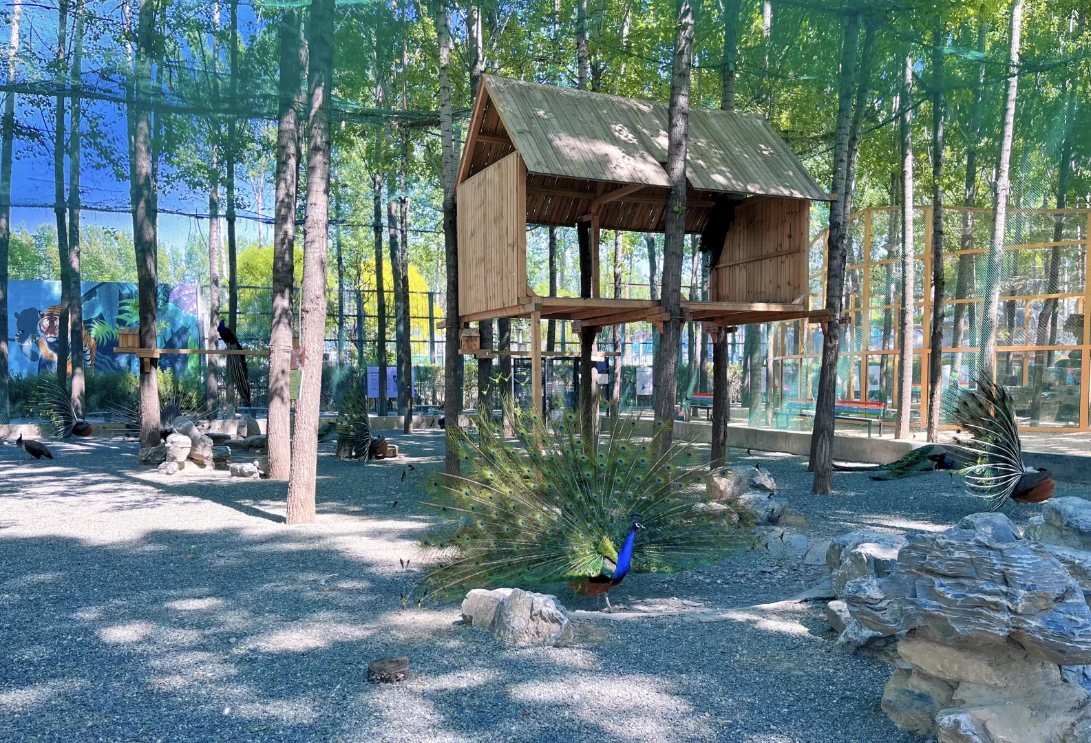 终于能把北京几日游说明白了