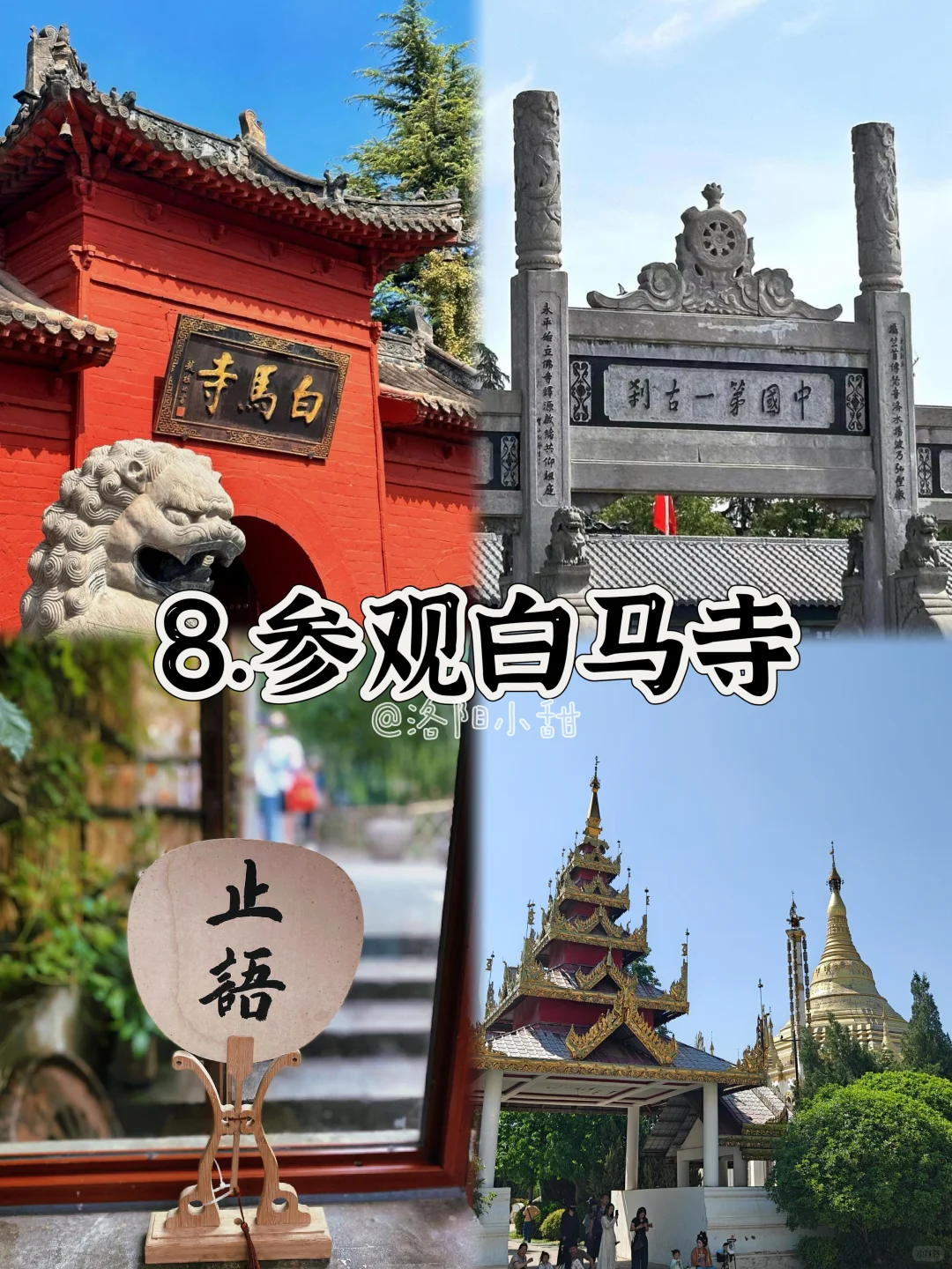 来洛阳必做的🔟件事…吃喝玩系列