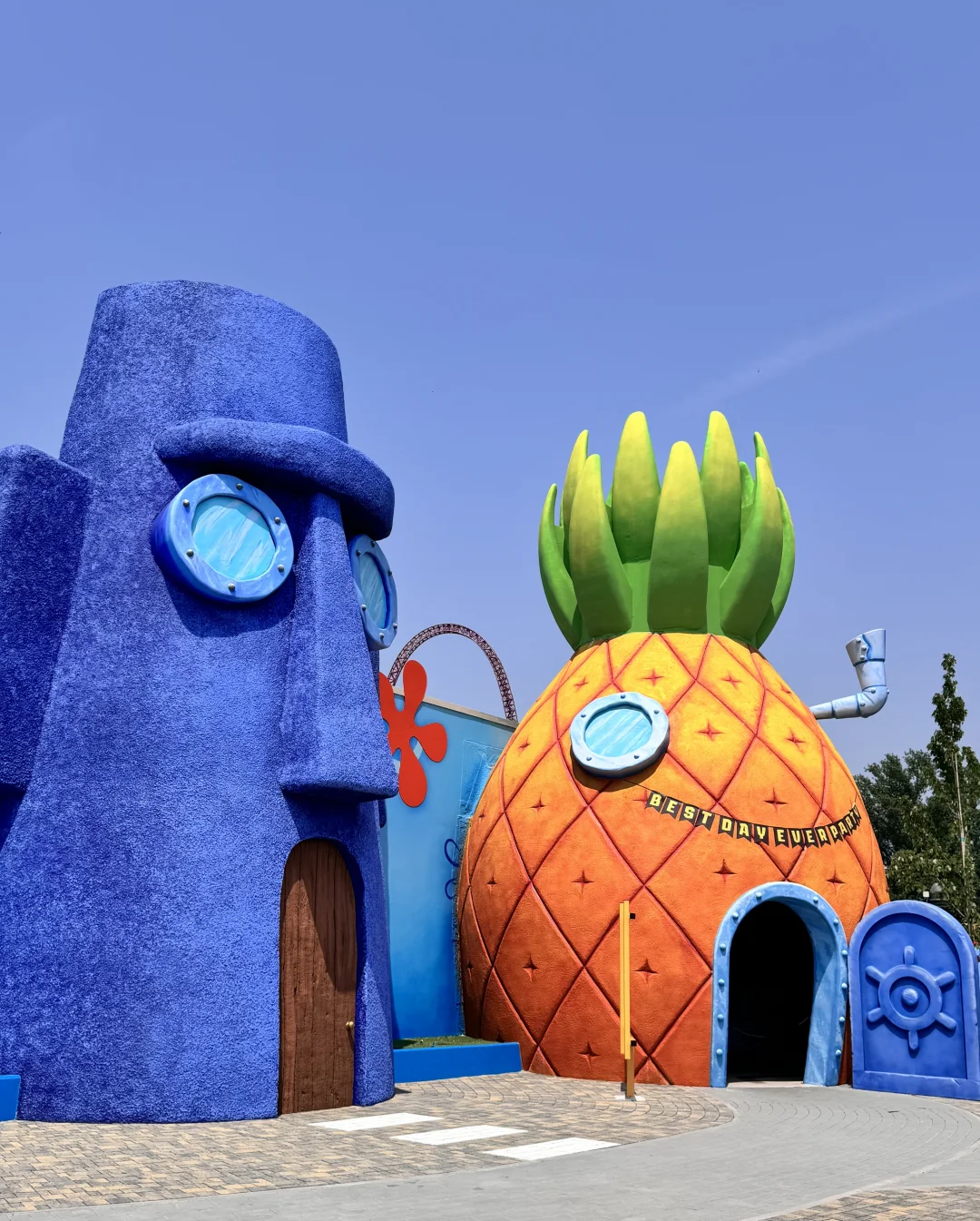 耶 当一天比奇堡海滩的居民🪼