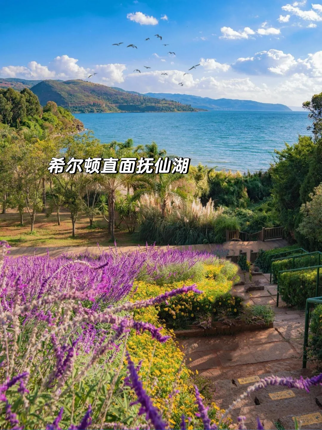 反向旅游!安利一个22℃的冷门避暑小城