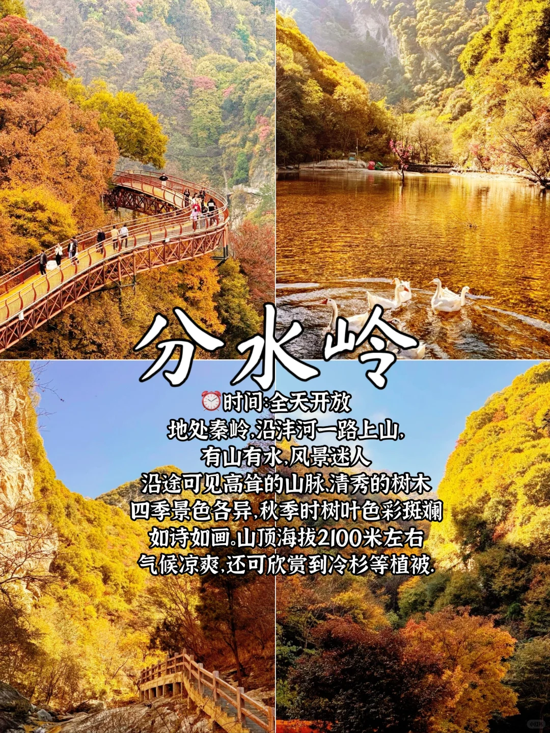 西安周边8个自然风景宝藏地方推荐🔥