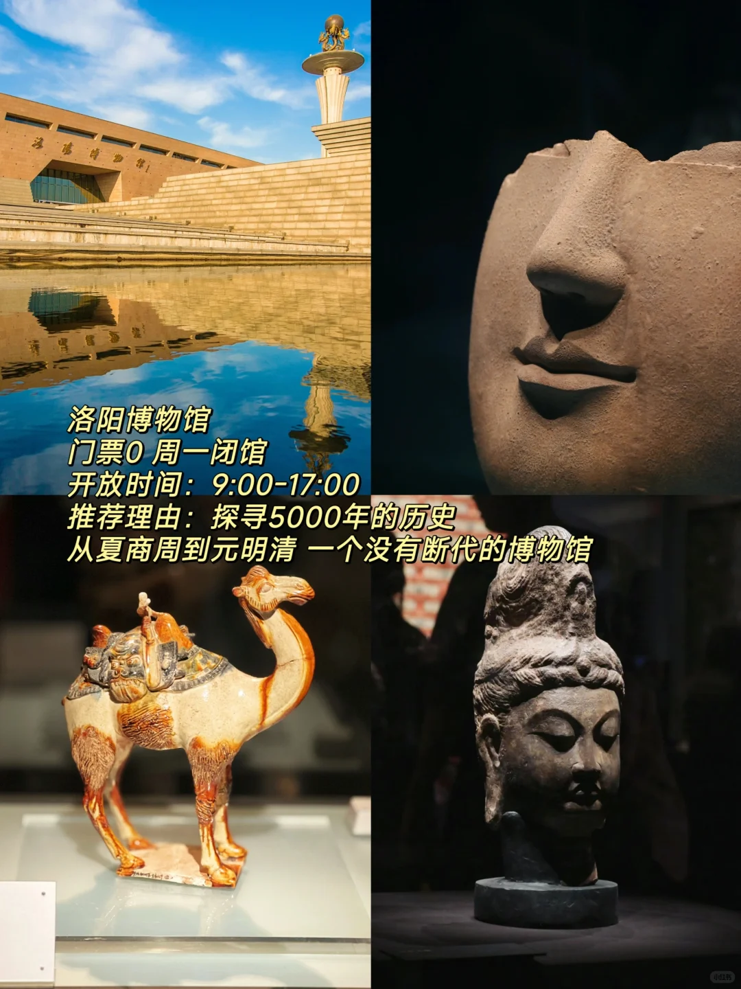 听说洛阳火了🔥这份必打卡攻略快马住🐴