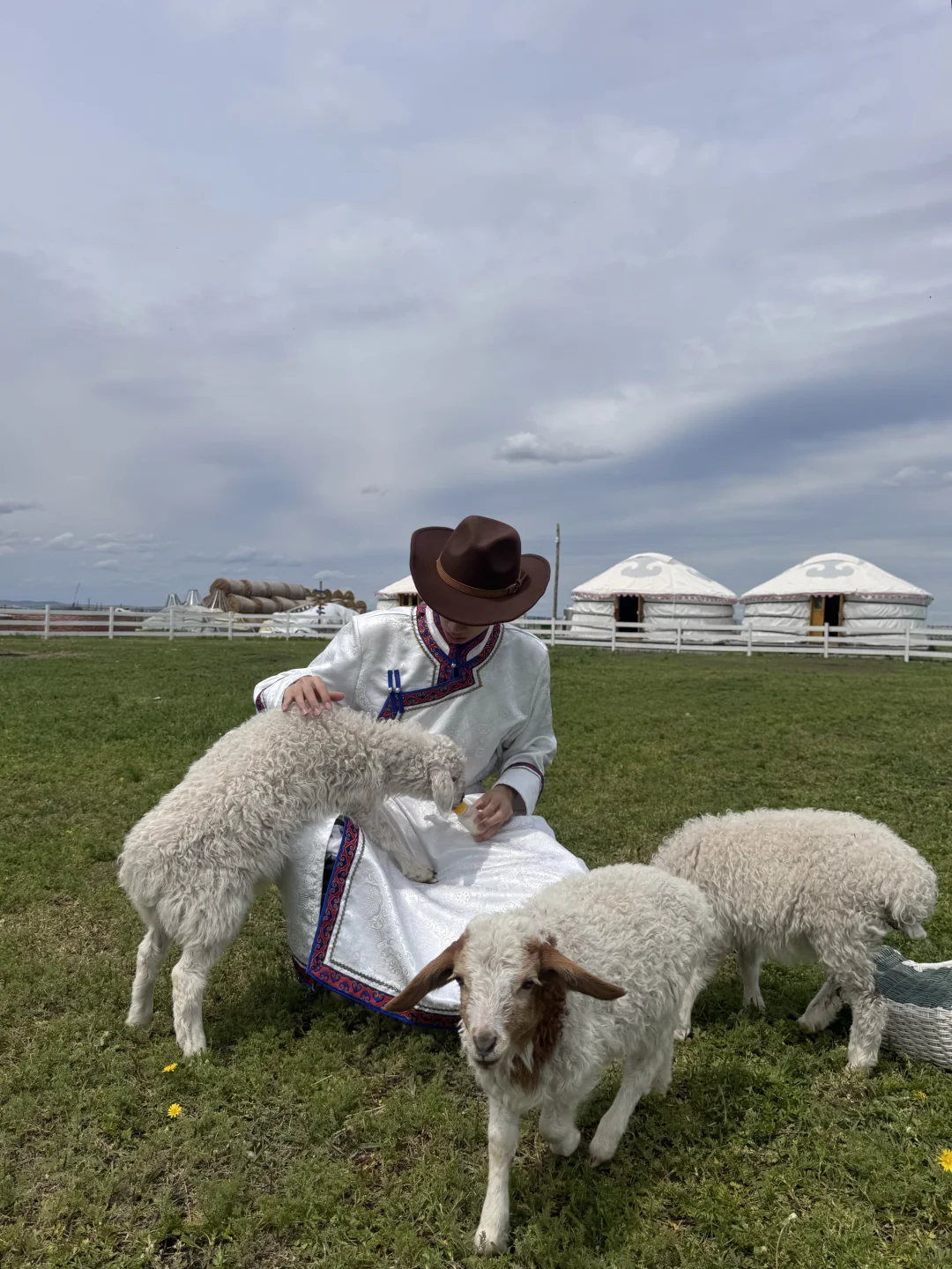 我不再内耗 我在内蒙（18图版）