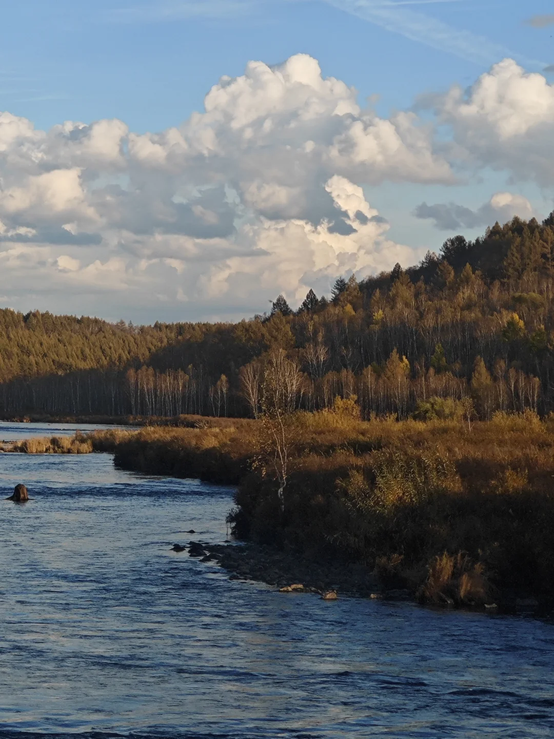 9.18-9.20的阿尔山秋色参考