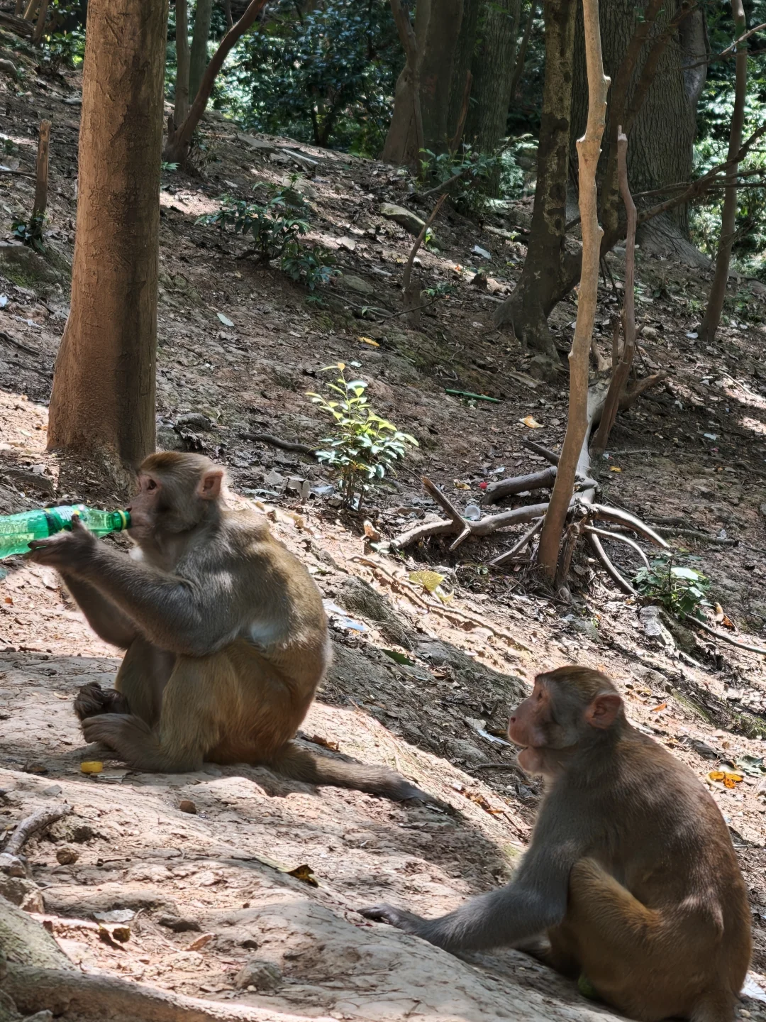 旅游中的记忆点，与大自然拥抱，享受生活！