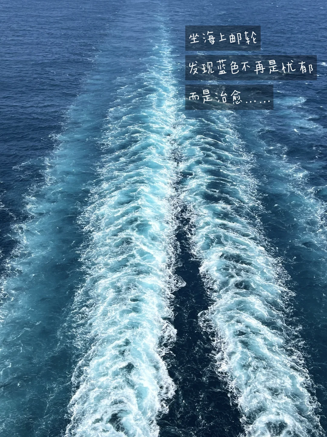 邮轮旅行plog | 我愿反复活在这些瞬间🚢🌊