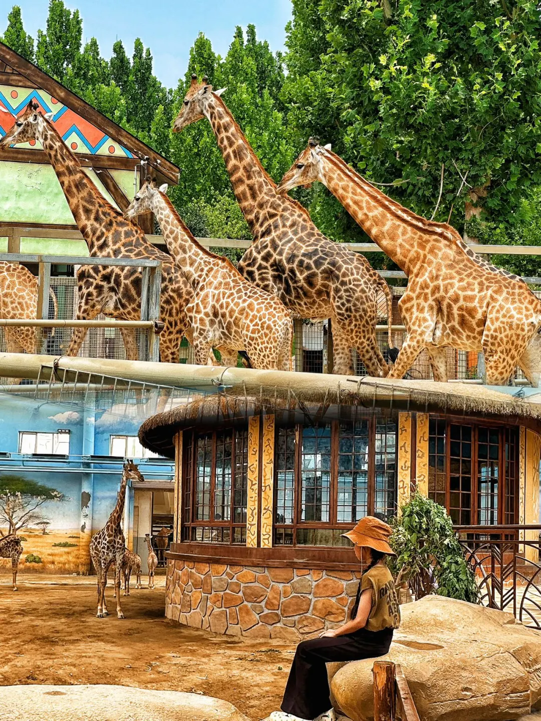 天津🚗3h达|3天2晚暑假玩透“山东迪士尼”|上