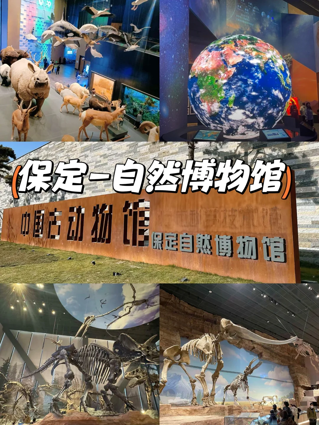 清明带娃这样玩！周边一日游5条路线遛娃指南