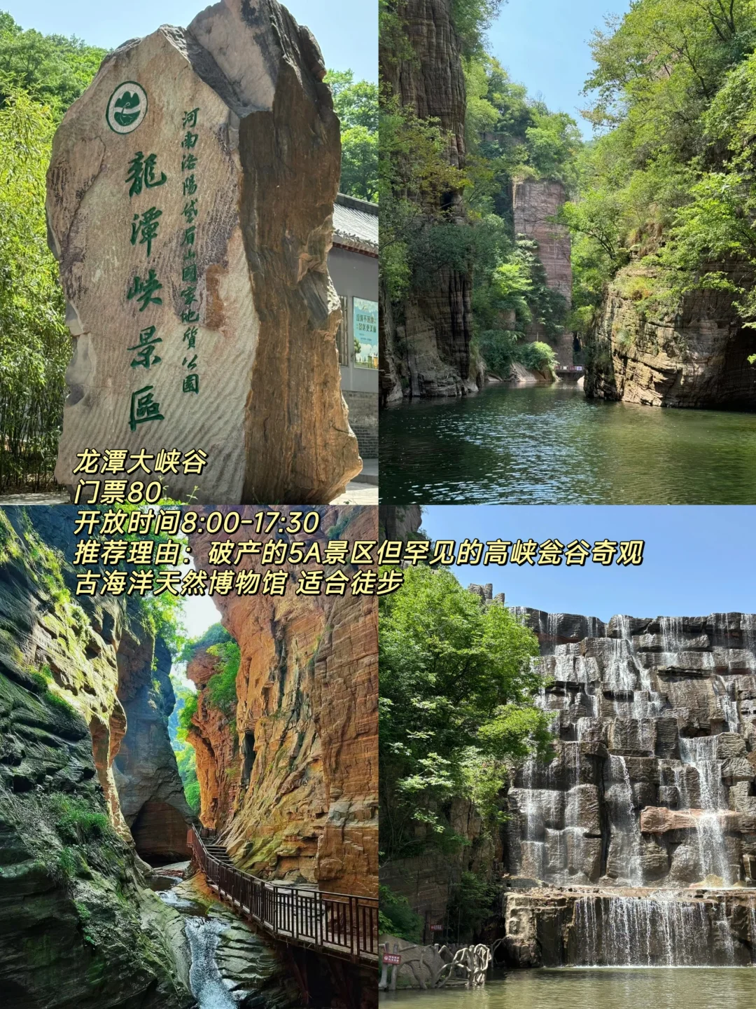 听说洛阳火了🔥这份必打卡攻略快马住🐴