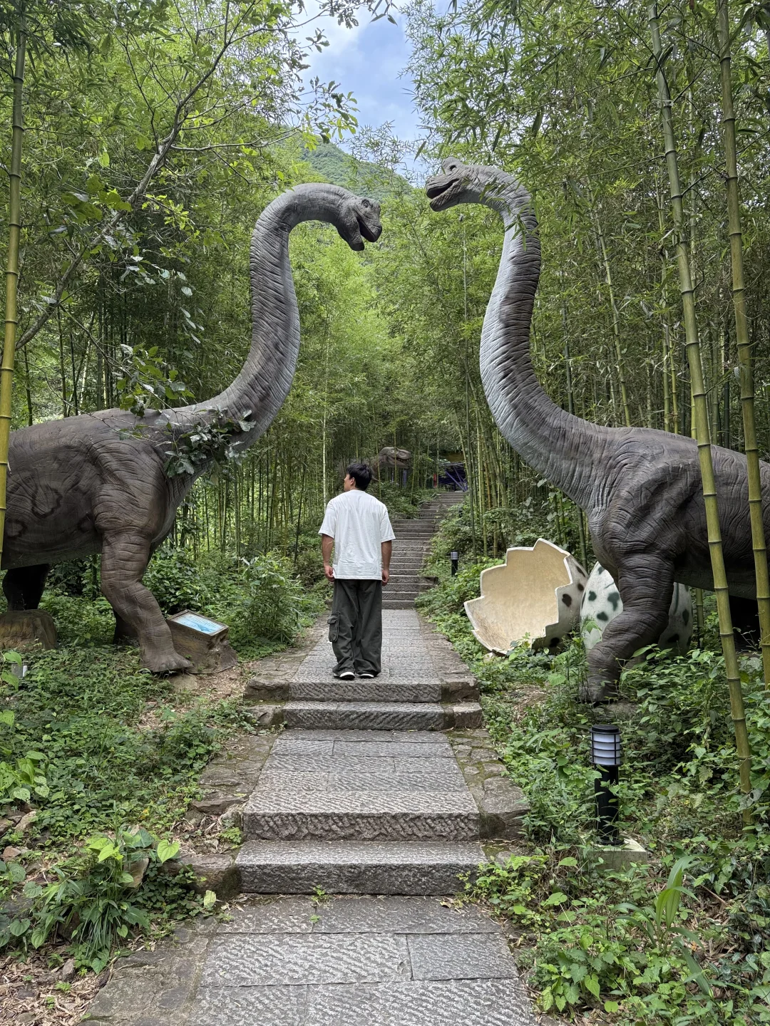 杭州出发1.5h!我发现个江浙沪宝藏山野乐园!