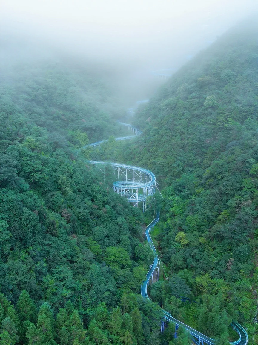 杭州出发1.5h!我发现个江浙沪宝藏山野乐园!
