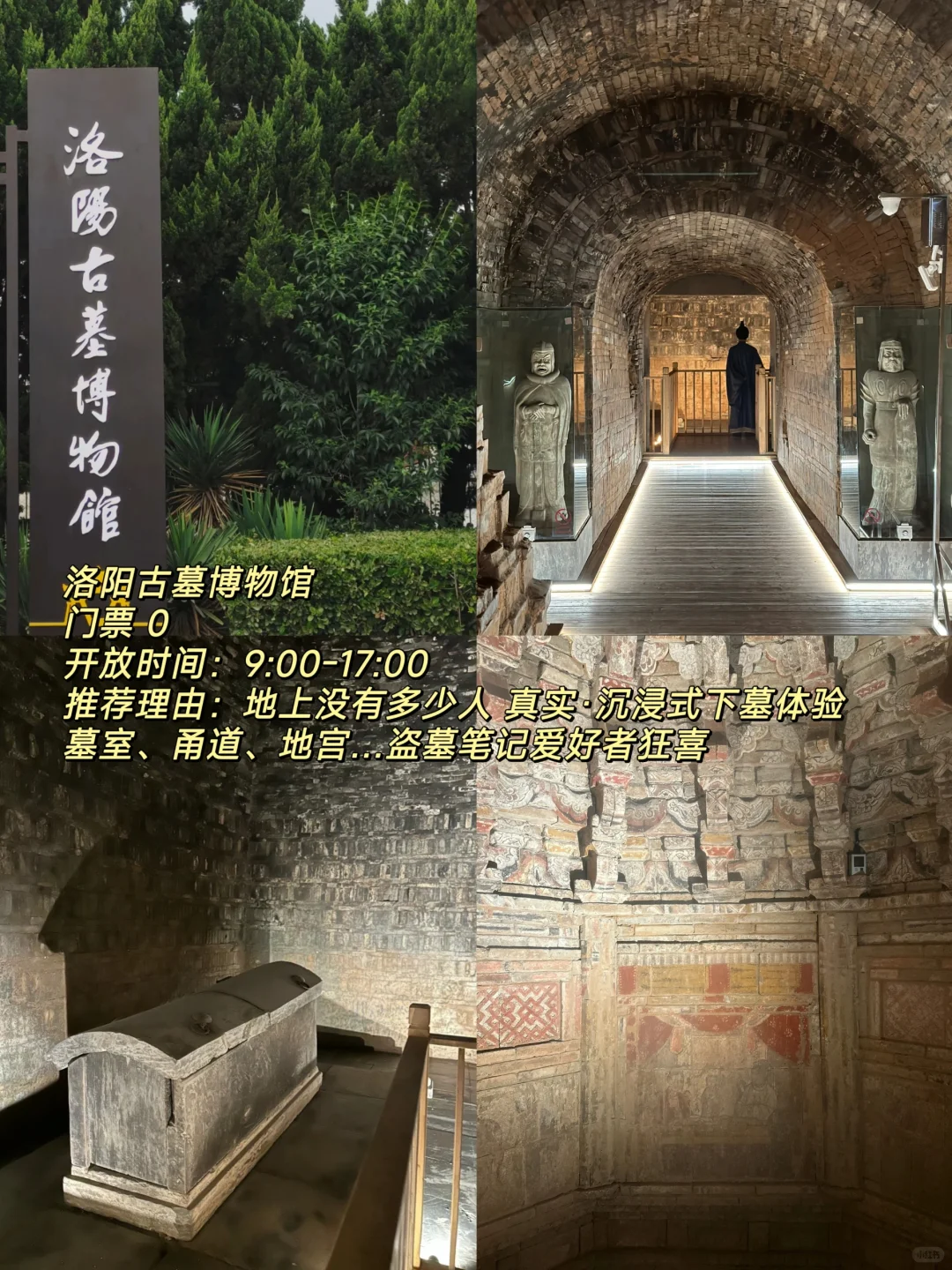 听说洛阳火了🔥这份必打卡攻略快马住🐴