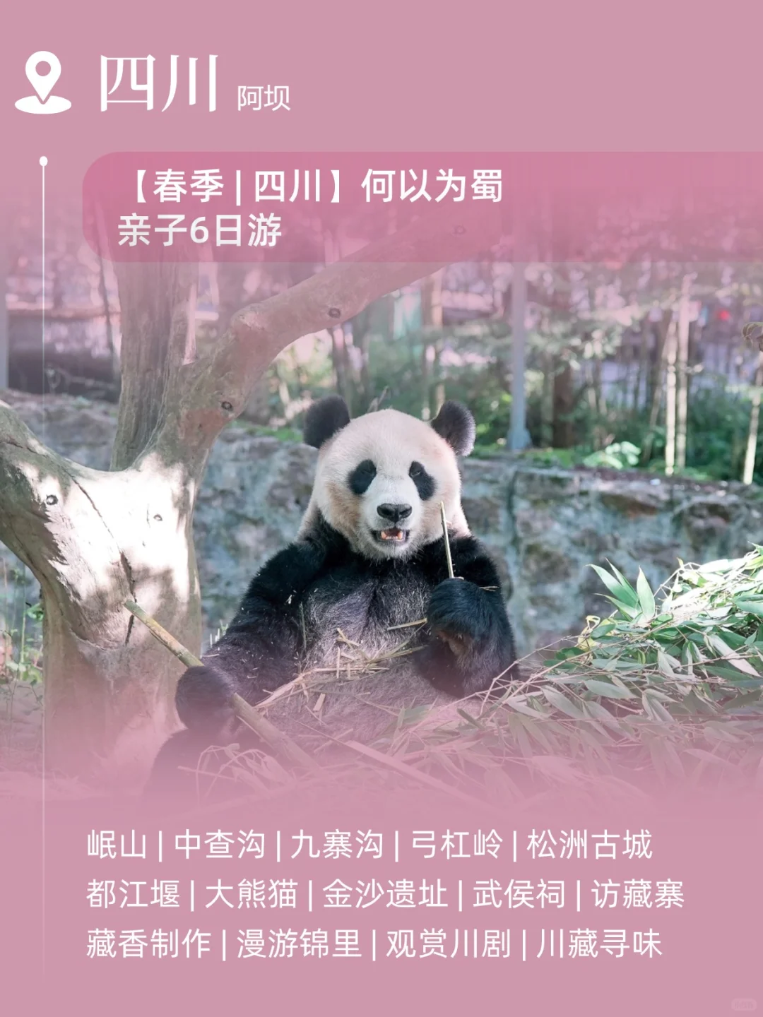 2025亲子游必去！这些地方太适合家庭出游啦