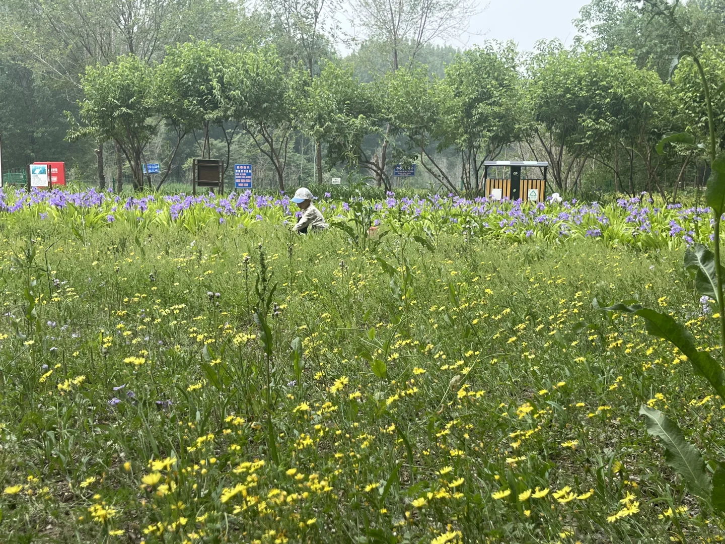 终于能把北京几日游说明白了