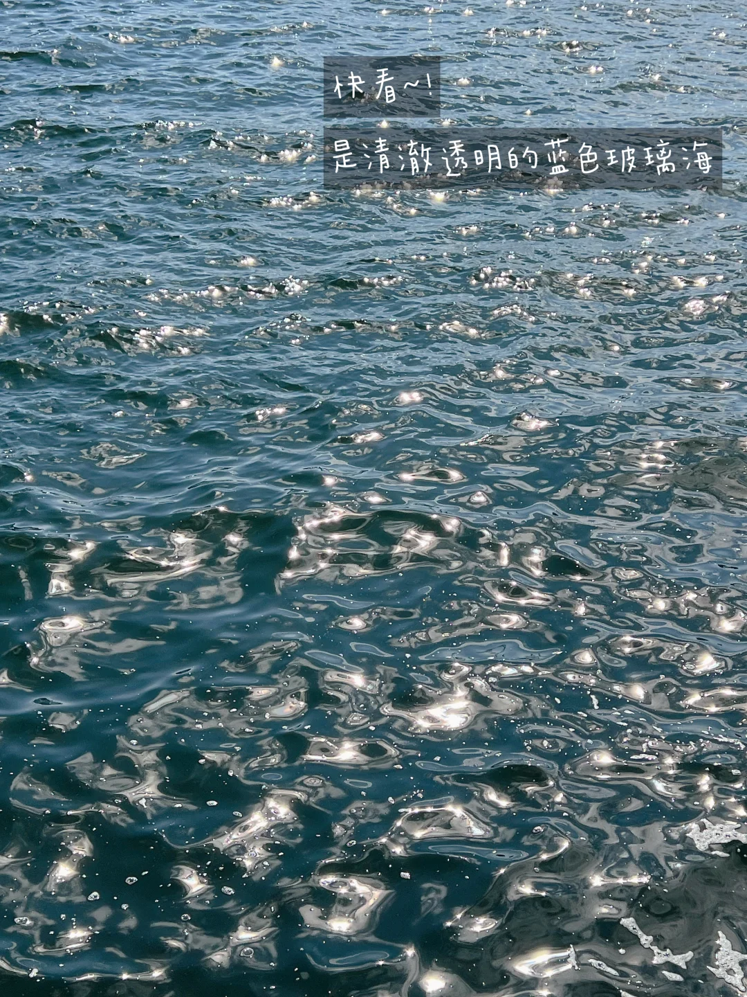 邮轮旅行plog | 我愿反复活在这些瞬间🚢🌊